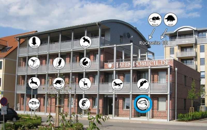 Hafendomicil Appartement Wh01 - Forelle Waren  Bagian luar foto